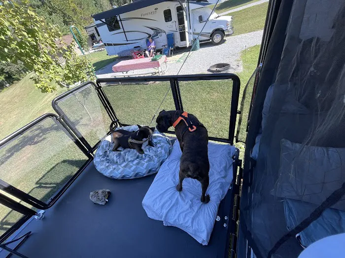 Natchez Trace Pin Oak Campground - Site 6 5