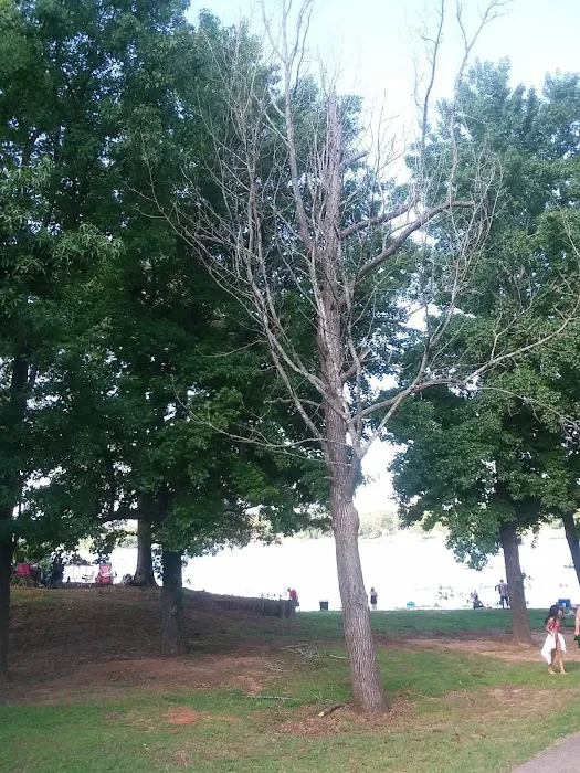 Beech River Watershed Development 8