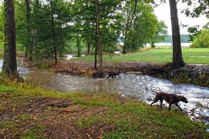 Turkey Creek RV Park 2