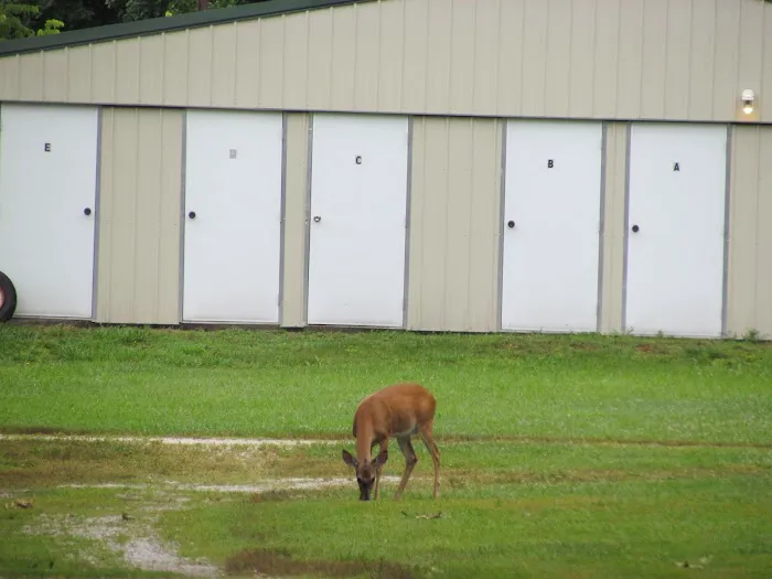 Hoot N Hollar RV Park 4