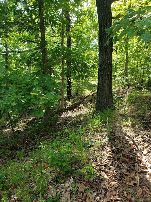 Bennett Spring Campground & Float Trips(formerly Circle J) 9