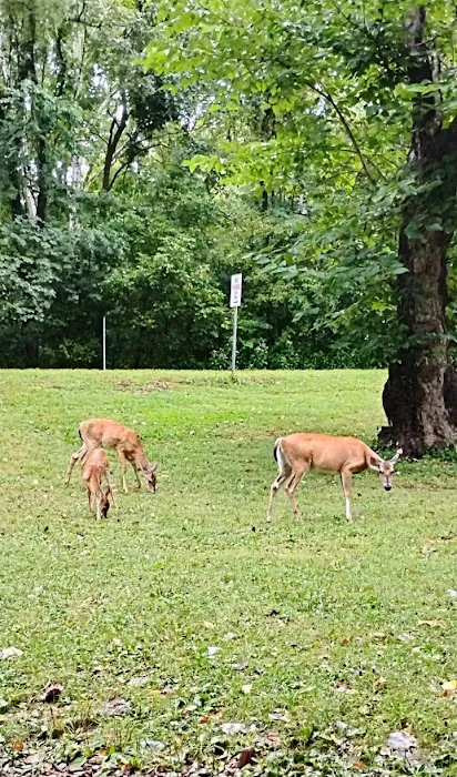 Bennett Spring State Park Campground 4