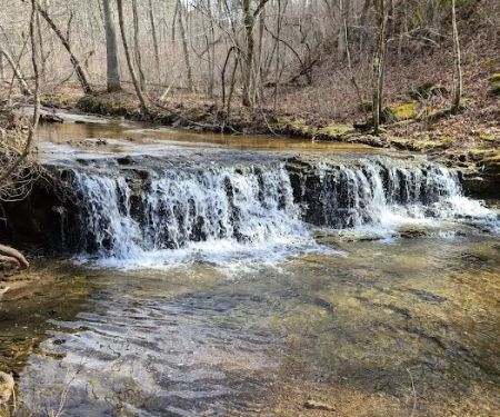 Cactus Canyon Campground and Resort LLC - rated #1 best nude men only campground