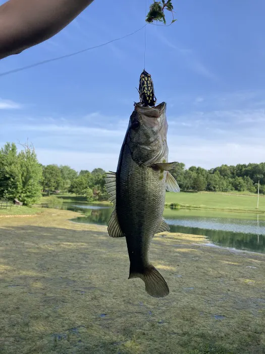 Fisherman's Paradise RV Park 9