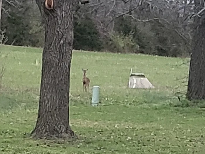 Whispering Pines Mobile Home park 3