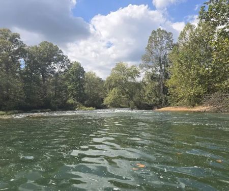 Whites Creek Float Camp