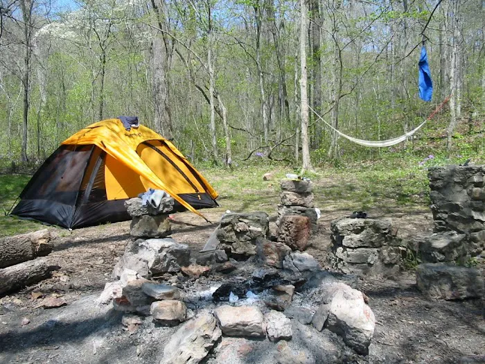 Bliss Spring Campground 8