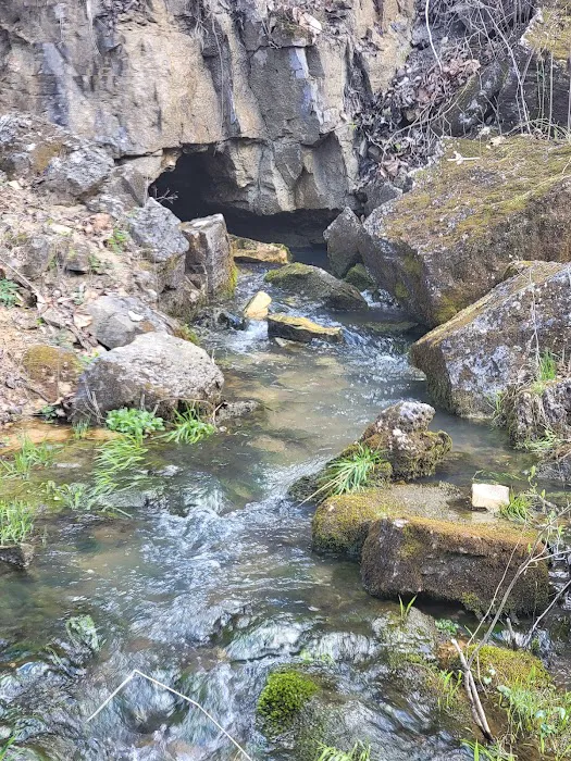 Bliss Spring Campground 5