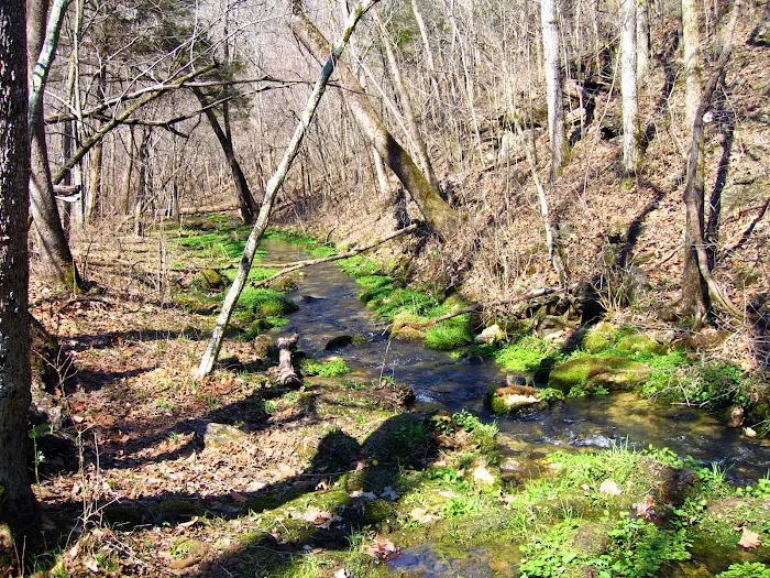 Bliss Spring Campground 10
