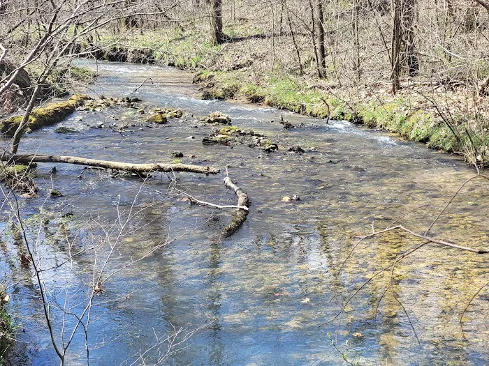Bliss Spring Campground 1