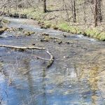 Bliss Spring Campground