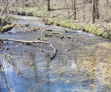 Bliss Spring Campground