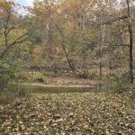 Horseshoe Bend Float Camp