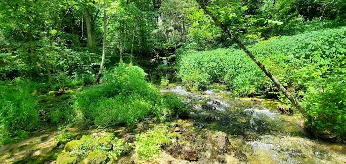 Turner Mill South Campground 2