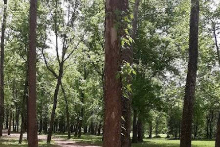 Rone Valley Camping Park