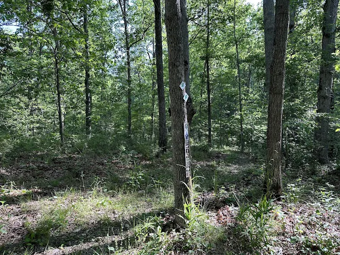 Ozark Trail Eleven Point Terminus 2