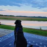 Shady Waters Campground