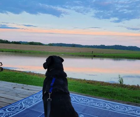 Shady Waters Campground