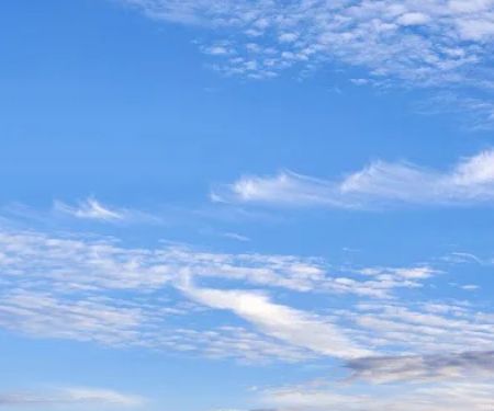 Chief Cornstalk WMA Lake Campground