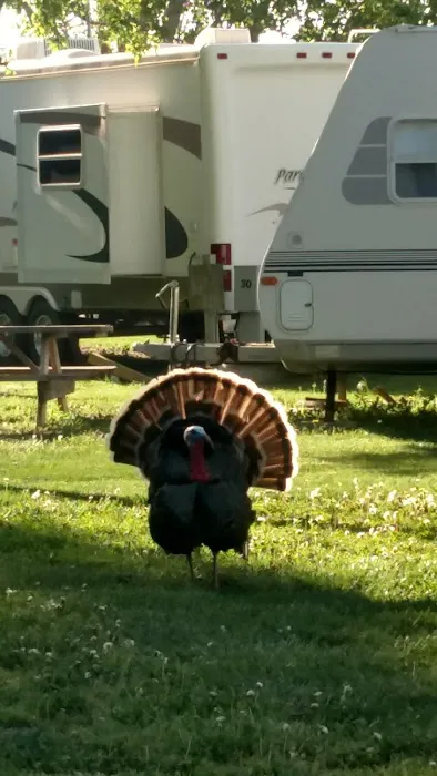Rykens RV Park 5