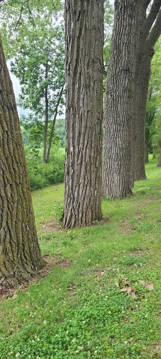 Loup Park Campground 1