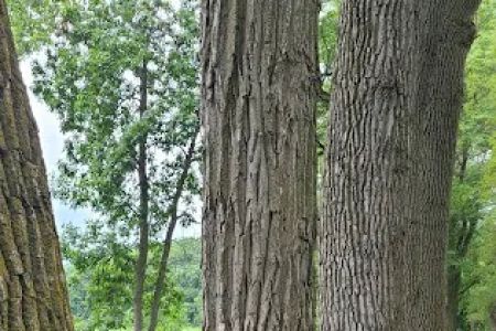 Loup Park Campground