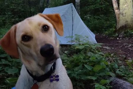 East Gooseberry Campsite