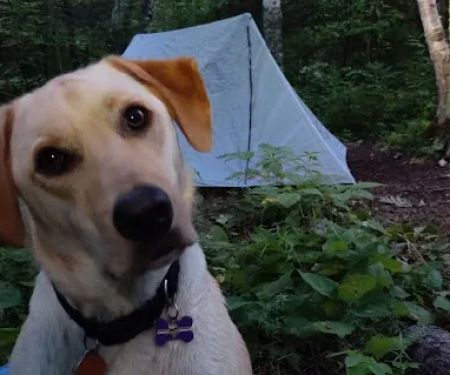 East Gooseberry Campsite