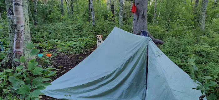 East Gooseberry Campsite 3