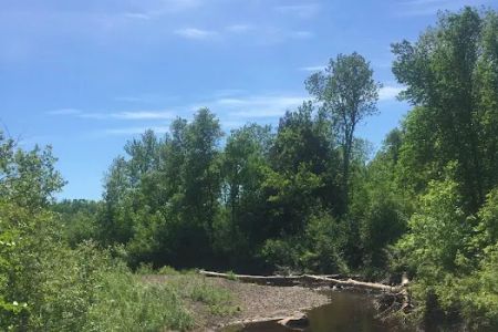 Middle Gooseberry Camp