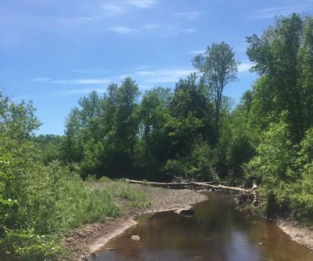 Middle Gooseberry Camp