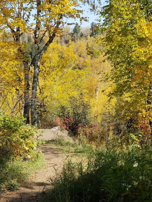 Gooseberry Falls State Park, Group Camp Site 9