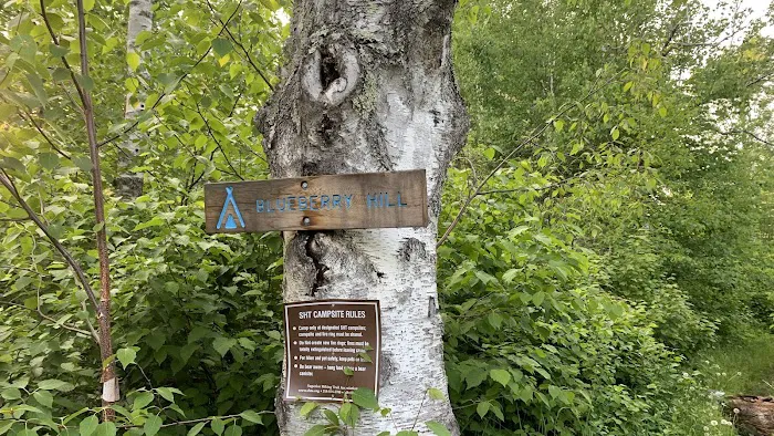Blueberry Hill Campsite 10