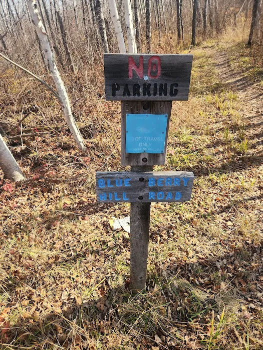 Blueberry Hill Campsite 4