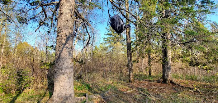 Blueberry Hill Campsite 8