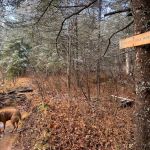 Northeast Split Rock Campsite