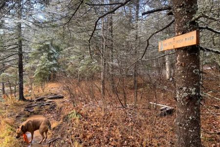 Northeast Split Rock Campsite