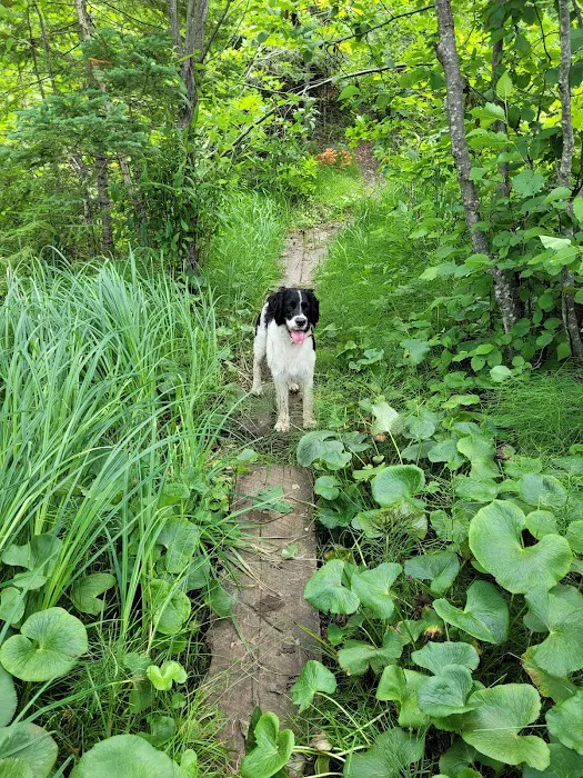 Hay Lake Campground 5