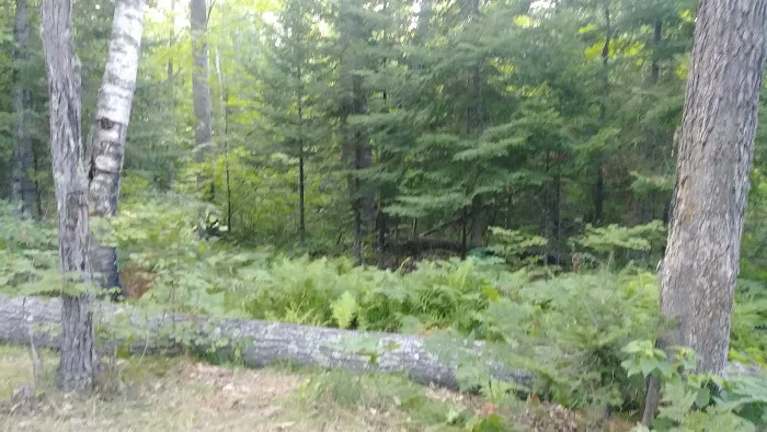 Hay Lake Campground 1
