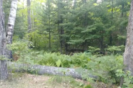 Hay Lake Campground