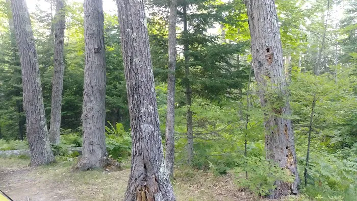 Hay Lake Campground 2