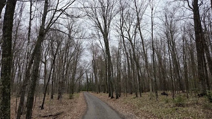 Hay Lake Campground 6