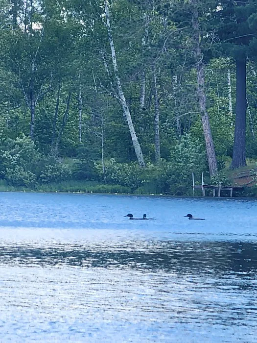 Boot Lake Camp 7