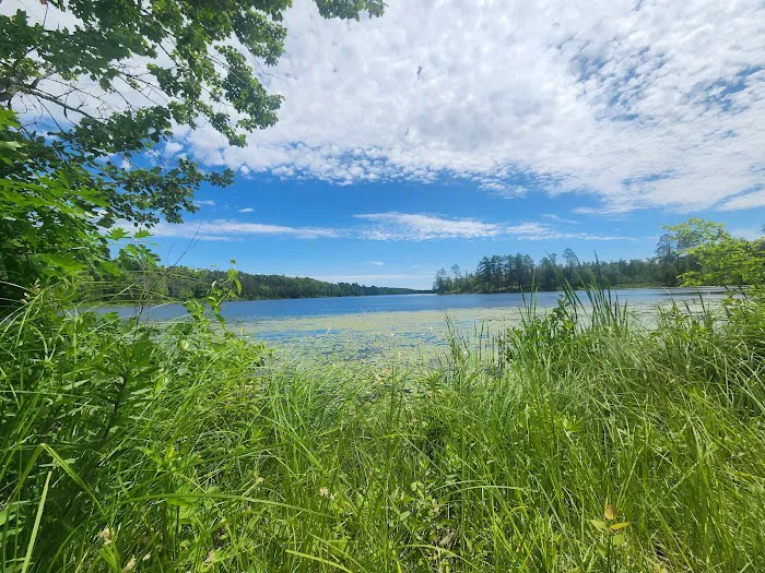 Boot Lake Camp 8