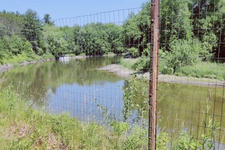 Jacobson Campground