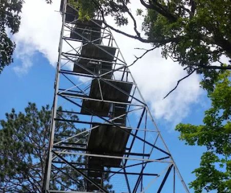 Sandy Lake Dnr Forestry Department