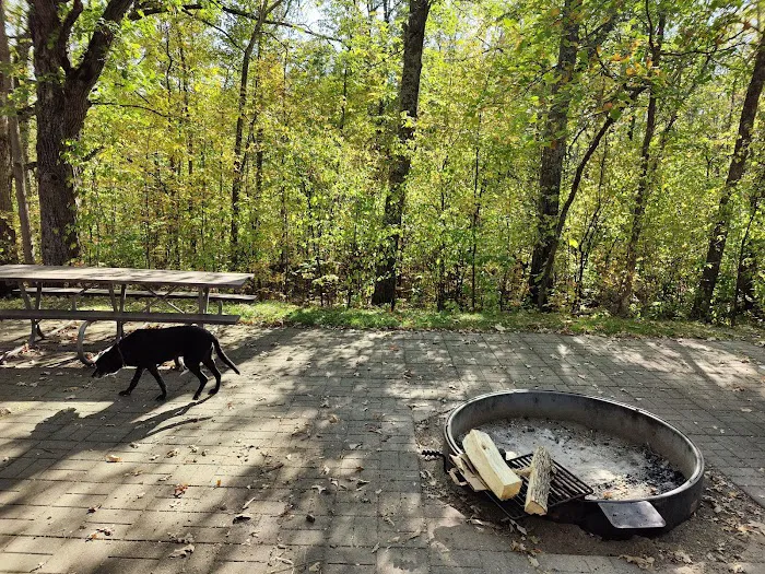 Sandy Lake Recreation Area Campground 6