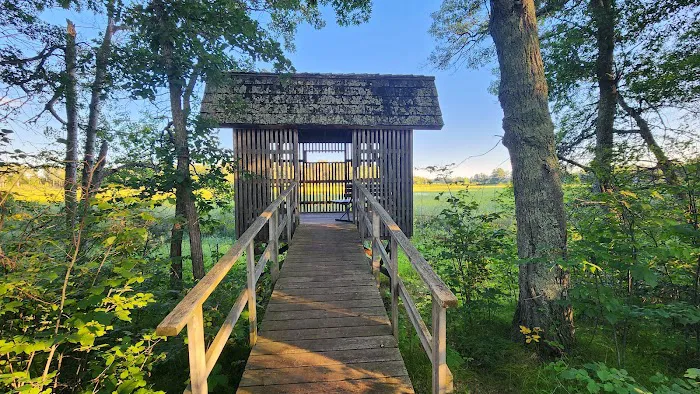 Sandy Lake Recreation Area Campground 9