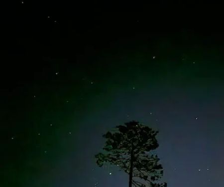 RuisCamp Private Property