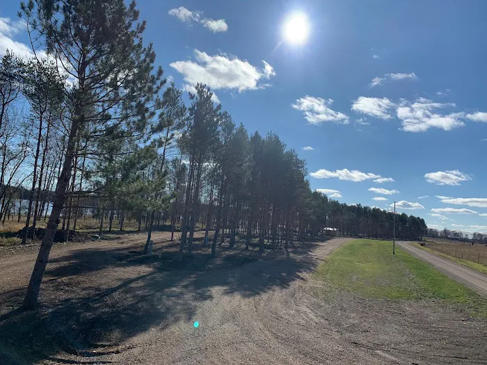 Gun Lake Family Campground 7